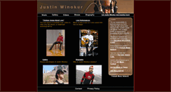 Desktop Screenshot of justinwinokur.com